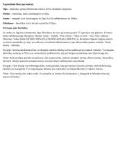 2017 m. filmo „Stebuklas“ analizė 2 puslapis