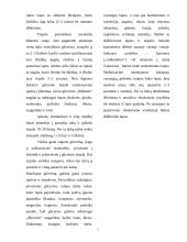 Augalinės medžiagos konservavimas 5 puslapis