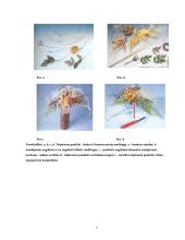 Augalinės medžiagos konservavimas 6 puslapis