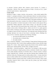 Barbarai Viduramžiais 6 puslapis