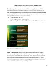 Informacinių technologijų laboratoriniai darbai. Logistika ir inžinerija 9 puslapis