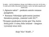 Perskaitytos knygos pristatymas - ,,Ilgiausia naktis” 4 puslapis