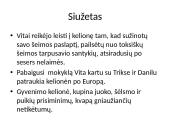 Perskaitytos knygos pristatymas - ,,Ilgiausia naktis” 6 puslapis