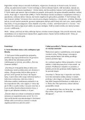 Antanas Škėma  „Balta drobulė“ - analizė 4 puslapis