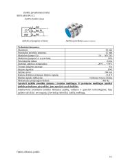 Loginė automatika. Ataskaitos 13 puslapis