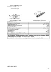 Loginė automatika. Ataskaitos 14 puslapis