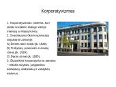 Tarpukario Lietuvos pažanga 8 puslapis
