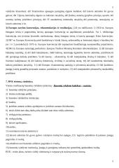 Bausmių vykdymo teisė 5 puslapis