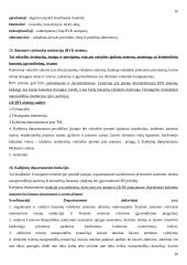 Bausmių vykdymo teisė 10 puslapis