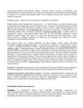 Bendravimo psichologija. Dalykinis pokalbis 2 puslapis