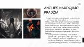 Pristatymas apie anglį 5 puslapis