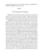 Lyčių psichologijos namų darbas. Žaislų parduotuvių turinio analizė 3 puslapis