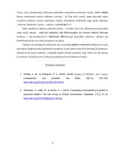 Lyčių psichologijos namų darbas. Žaislų parduotuvių turinio analizė 8 puslapis