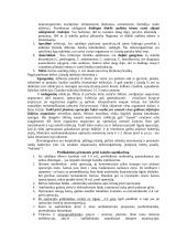 Bendroji chirurgija 16 puslapis