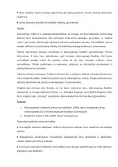 Vietos savivaldos reformos Lietuvoje 1990-2022 metais 4 puslapis