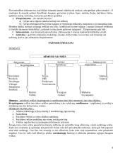 Bendroji ir diferencinė psichologija 4 puslapis