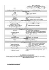 Gerontologinio tyrimo ir rekomendacijų planas 2 puslapis