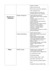 Gerontologinio tyrimo ir rekomendacijų planas 8 puslapis