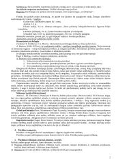 Bendroji ir diferencinė psichologija - pasiruošimas egzaminui 2 puslapis