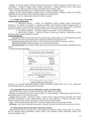 Bendroji ir diferencinė psichologija - pasiruošimas egzaminui 15 puslapis