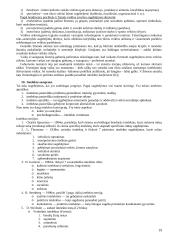 Bendroji ir diferencinė psichologija - pasiruošimas egzaminui 19 puslapis