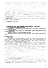 Bendroji ir diferencinė psichologija - pasiruošimas egzaminui 4 puslapis