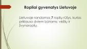 Lietuvos ropliai  3 puslapis