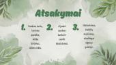 Aukštaitijos nacionalinis parkas. Skaidrės 11 puslapis