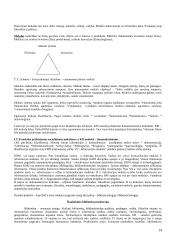 Bibliotekininkystės teorija (konspektas) 19 puslapis