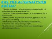Alternatyvieji kaštai ir pasirinkimai 2 puslapis
