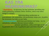Alternatyvieji kaštai ir pasirinkimai 3 puslapis