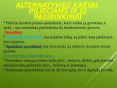 Alternatyvieji kaštai ir pasirinkimai 6 puslapis