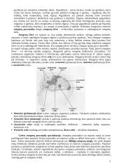 Biologiniai psichologijos aspektai 5 puslapis