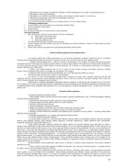 Civilinės atsakomybės temos 13 puslapis