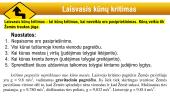 Laisvasis kritimas 2 puslapis