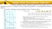 Laisvasis kritimas 7 puslapis