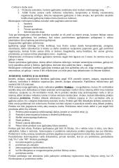 Civilinė ir darbo teisė 17 puslapis