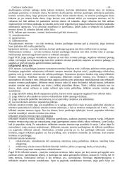 Civilinė ir darbo teisė 19 puslapis