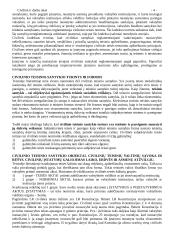 Civilinė ir darbo teisė 4 puslapis