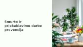 Smurto ir priekabiavimo darbe prevencija