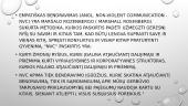 Nesmurtinė komunikacija 2 puslapis