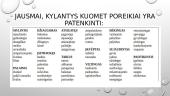 Nesmurtinė komunikacija 15 puslapis