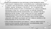Nesmurtinė komunikacija 3 puslapis