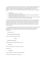 Civilizacijų istorijos paskaitų medžiaga 2 puslapis