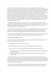 Civilizacijų istorijos paskaitų medžiaga 13 puslapis