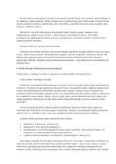 Civilizacijų istorijos paskaitų medžiaga 15 puslapis