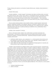 Civilizacijų istorijos paskaitų medžiaga 17 puslapis