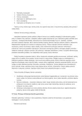 Civilizacijų istorijos paskaitų medžiaga 18 puslapis