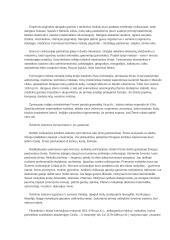 Civilizacijų istorijos paskaitų medžiaga 19 puslapis