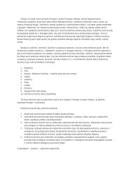 Civilizacijų istorijos paskaitų medžiaga 4 puslapis